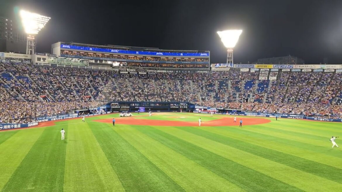 2025年 横浜DeNA 入江大生 登場曲 世界中の誰よりきっと [WANDS 第5期ver.]/WANDS