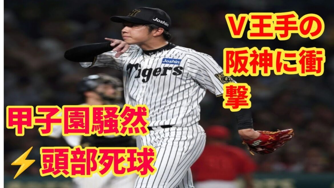 【衝撃】Ｖ王手の阪神に予想外の展開…才木が危険球退場⚡甲子園騒然！石原への頭部死球で藤川監督が謝罪のワケとは⁉