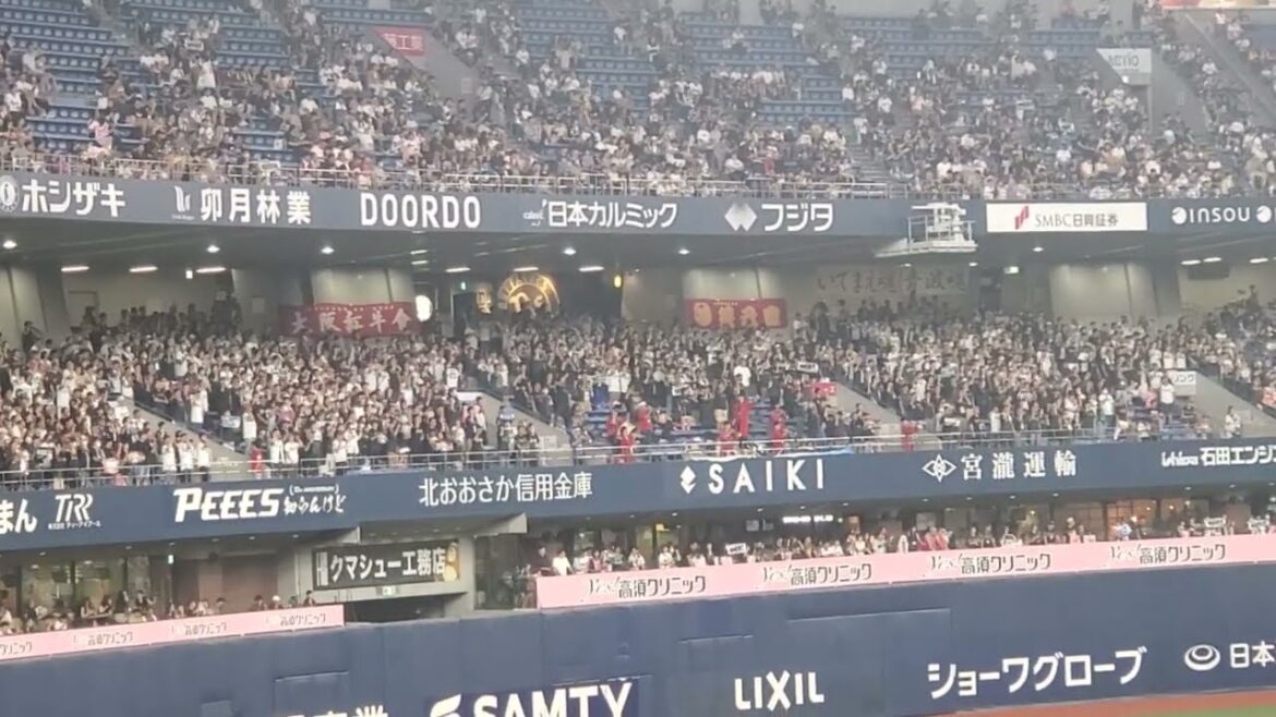 20240818　上位進出へ時代を担う【中川圭太 応援歌】　1回ｳﾗ　ｵﾘｯｸｽ･ﾊﾞﾌｧﾛｰｽﾞ@京ｾﾗﾄﾞｰﾑ大阪･ﾚﾌﾄ外野下段 Bs夏の陣2024