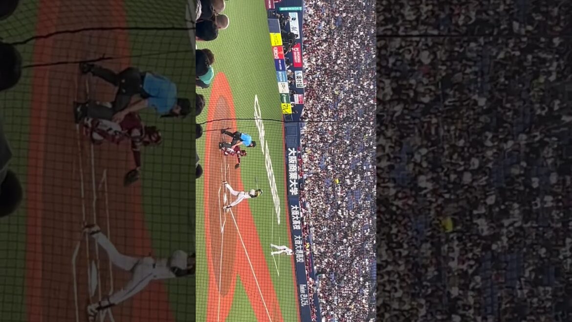 【オリックス】宗佑磨選手 オリックスバファローズ