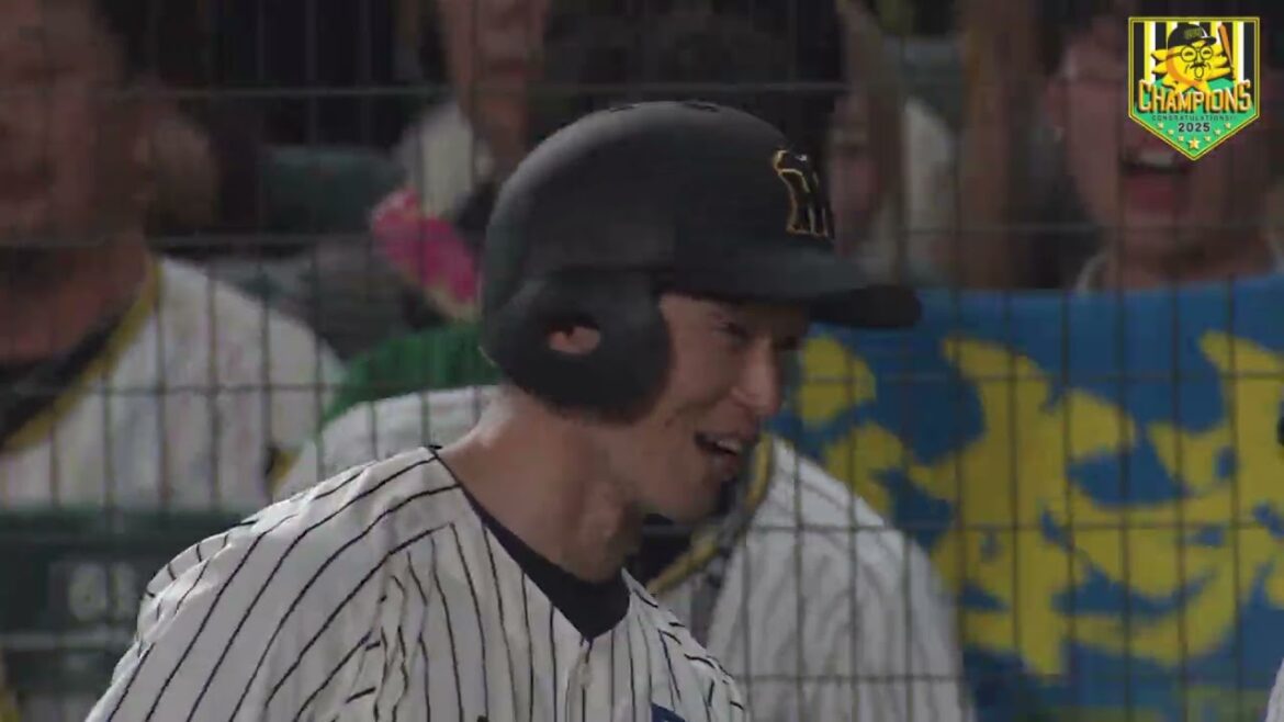 【9/7 リーグ優勝のエンディング】2年ぶりの歓喜の瞬間!7度目のリーグ制覇(2025年9月7日 阪神ー広島) #サンテレビボックス席 【9/7 リーグ優勝のエンディング】2年ぶりの歓喜の瞬間!7度目のリーグ制覇(2025年9月7日 阪神ー広島) #サンテレビボックス席