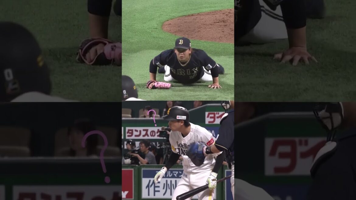 プロ野球の中の”かわいい世界” #shorts