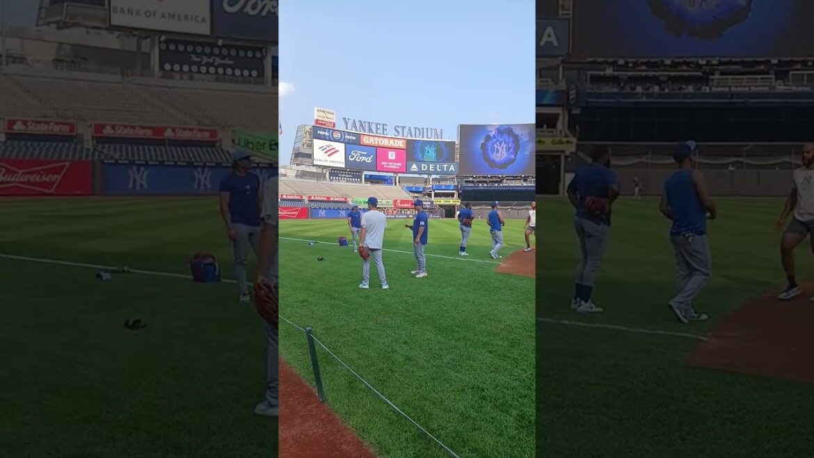 Amed Rosario y Vladimir Guerrero  Yankees Stadium