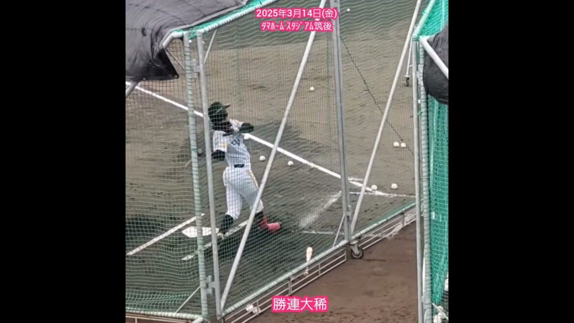 20250314　#勝連大稀　試合前の打撃練習　#shorts@ﾀﾏﾎｰﾑ ｽﾀｼﾞｱﾑ筑後［ｳｴｽﾀﾝ･ﾘｰｸﾞ 2軍戦］ﾀﾏｽﾀ筑後
