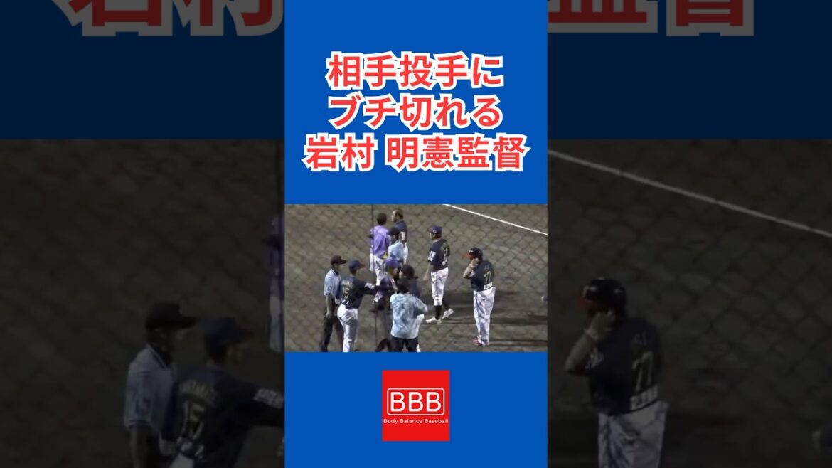 なに見とんねんゴルァ！#shorts #プロ野球 #baseball #野球 #乱闘
