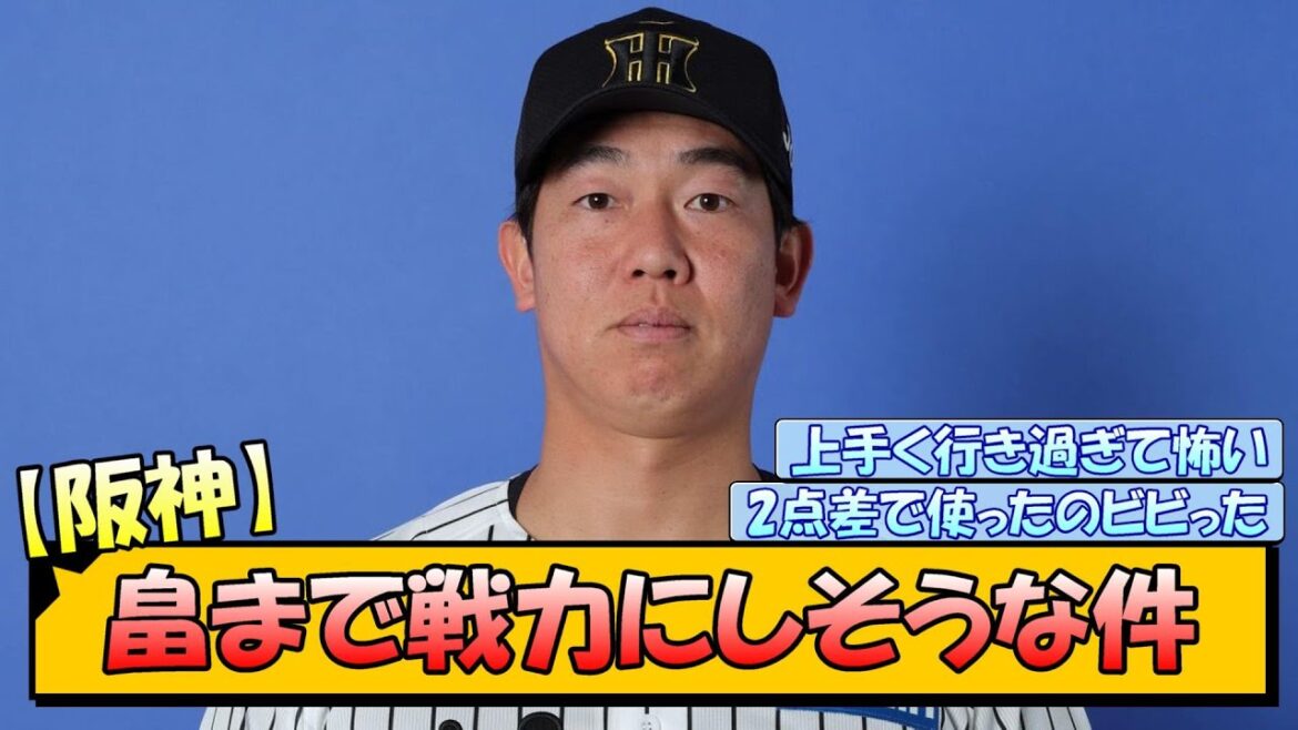 【阪神】畠まで戦力にしそうな件