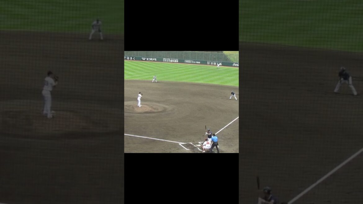 グリフィン〜宮本丈が空振り三振2024年5月29日 読売ジャイアンツ対ヤクルトスワローズ