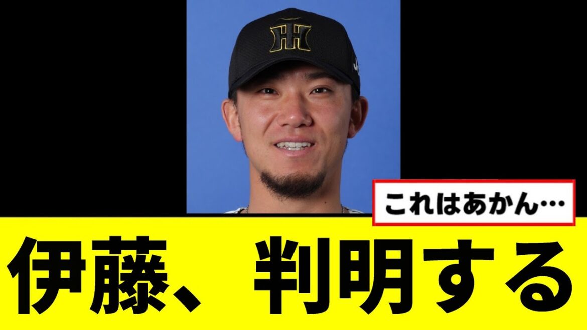 【阪神】伊藤が勝てない理由、判明してしまうwwwww