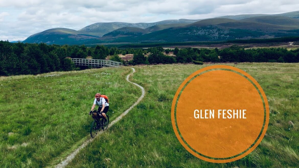 Glen Feshie Gravel Loop, Aviemore 🚵🏻‍♂️ 🚴‍♀️🌲 #gravelride #mtb #cairngorms #aviemore #highlands