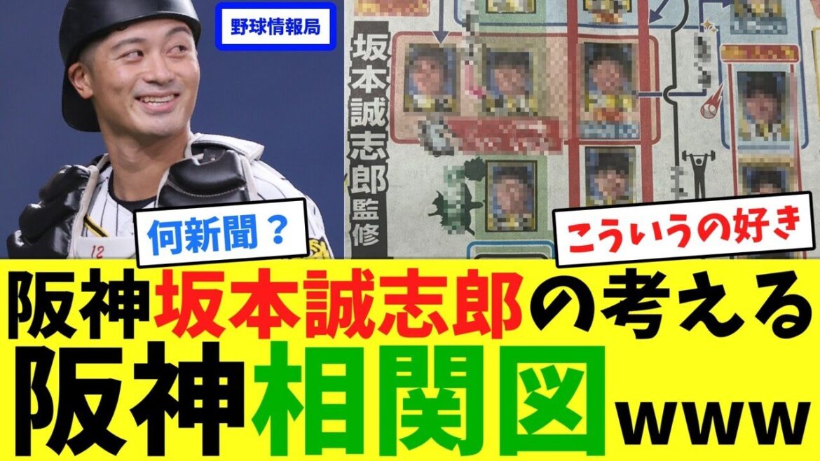 阪神・坂本誠志郎の考える阪神相関図www【ネット情報局】 阪神・坂本誠志郎の考える阪神相関図www【ネット情報局】