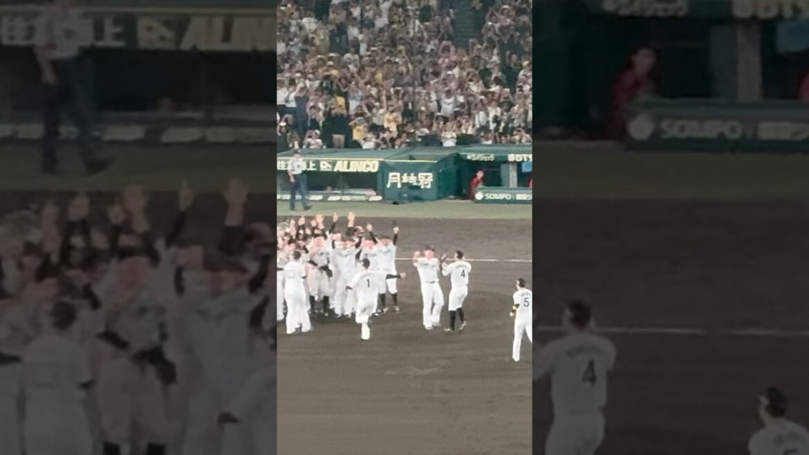 2025.9.7 阪神 最速 リーグ優勝の瞬間