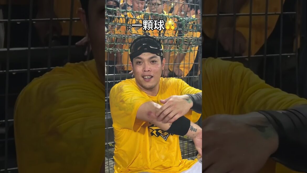 有獎金要ㄍㄧㄥ住🤣 #中信兄弟 #陳子豪 #中華職棒