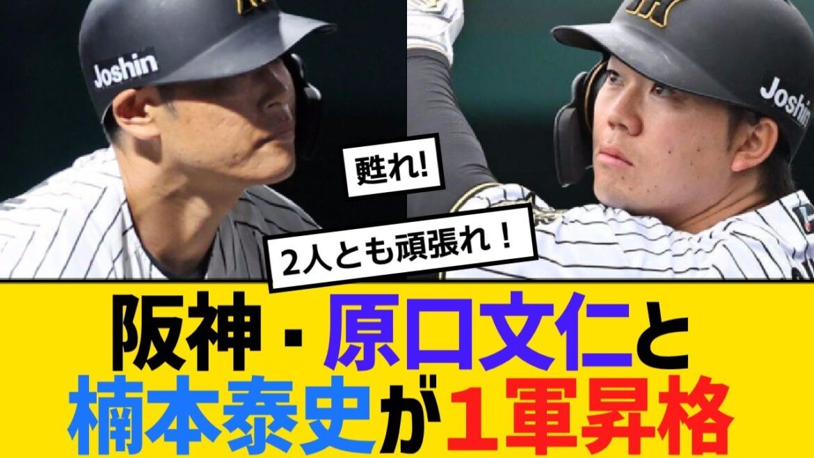 阪神・原口文仁と楠本泰史が１軍昇格！豊田寛が2軍降格【野球】【反応】【考察】