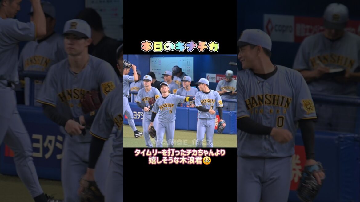 本日の尊すぎるキナチカ