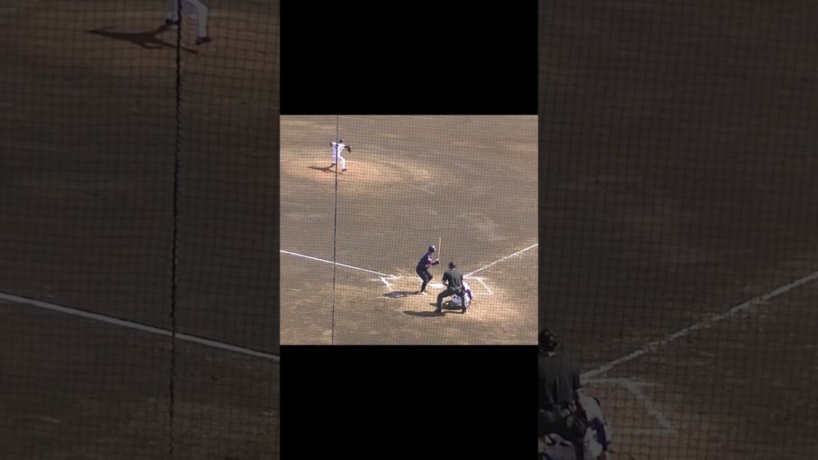 千葉SS山崎治彦ヒットを放つ（読売ジャイアンツ対 千葉スカイセイラーズ2024年5月17日）