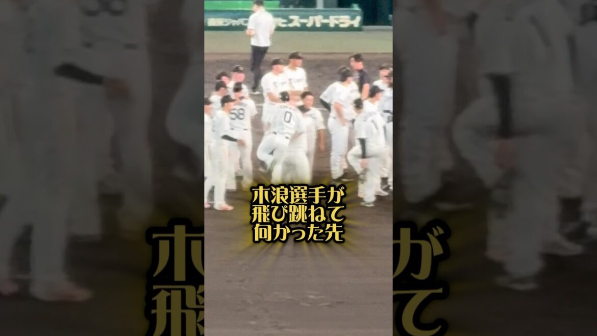木浪選手が飛び跳ねて向かった先は25/9/7 #阪神タイガース #阪神 #hanshintigers #プロ野球 #甲子園 #阪神ファン #阪神優勝 #木浪聖也 #熊谷敬宥 #小幡竜平