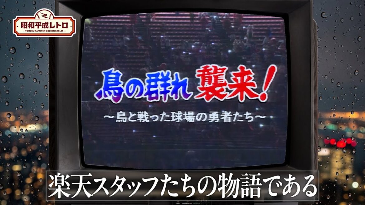 【#昭和平成レトロシリーズ 】鳥の群れ襲来！～鳥と戦った球場の勇者たち～