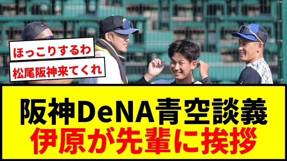 【話題】阪神投手陣とDeNA捕手陣が青空談義！伊原が先輩戸柱にサングラス取って挨拶でほっこり