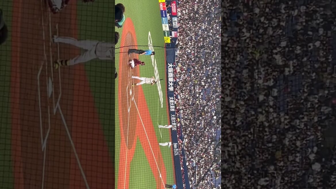 【オリックス】杉本裕太郎選手 ラオウ オリックスバファローズ