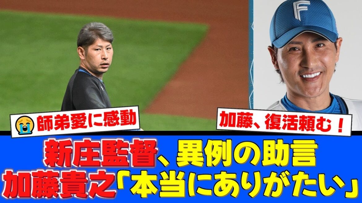 【師弟愛】新庄監督が不調のエース加藤貴之に異例の直接指導！指揮官の熱いアドバイスに加藤が語った感謝の言葉と復活への決意とは。【プロ野球ファンの反応】