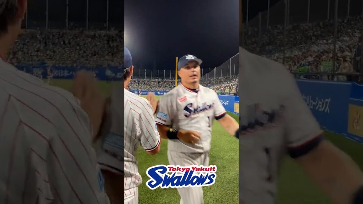 勝利後のハイタッチ #swallows #shorts