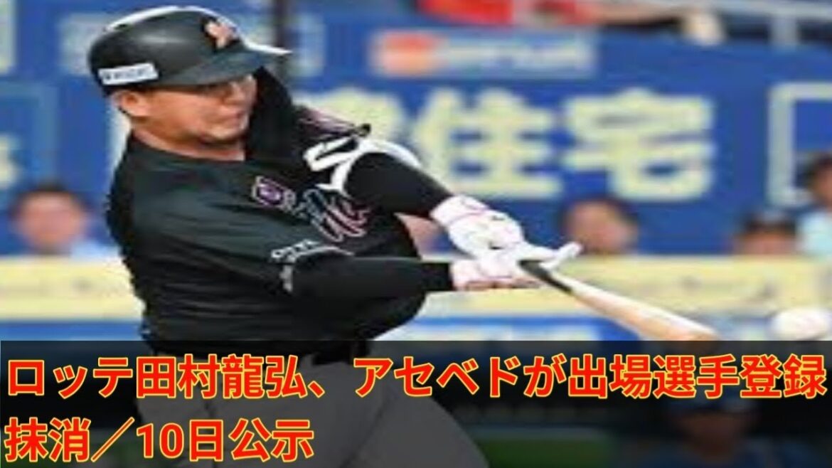 ロッテ田村龍弘、アセベドが出場選手登録抹消/10日公示 ロッテ田村龍弘、アセベドが出場選手登録抹消/10日公示