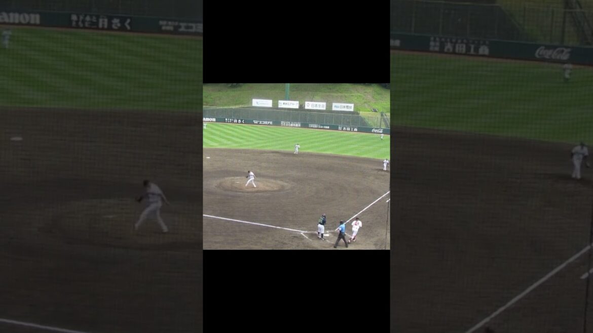 グリフィン 三ツ俣大樹から見逃し三振奪う2024年5月29日 読売ジャイアンツ対ヤクルトスワローズ