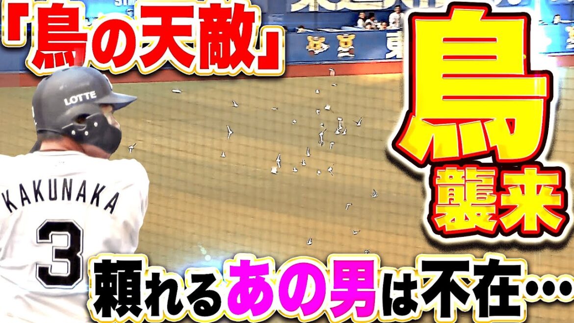 【鳥襲来】頼れるあの男は不在…『3年ぶり3回目のパテレ出演…過去の“鳥騒動”も振り返る！』