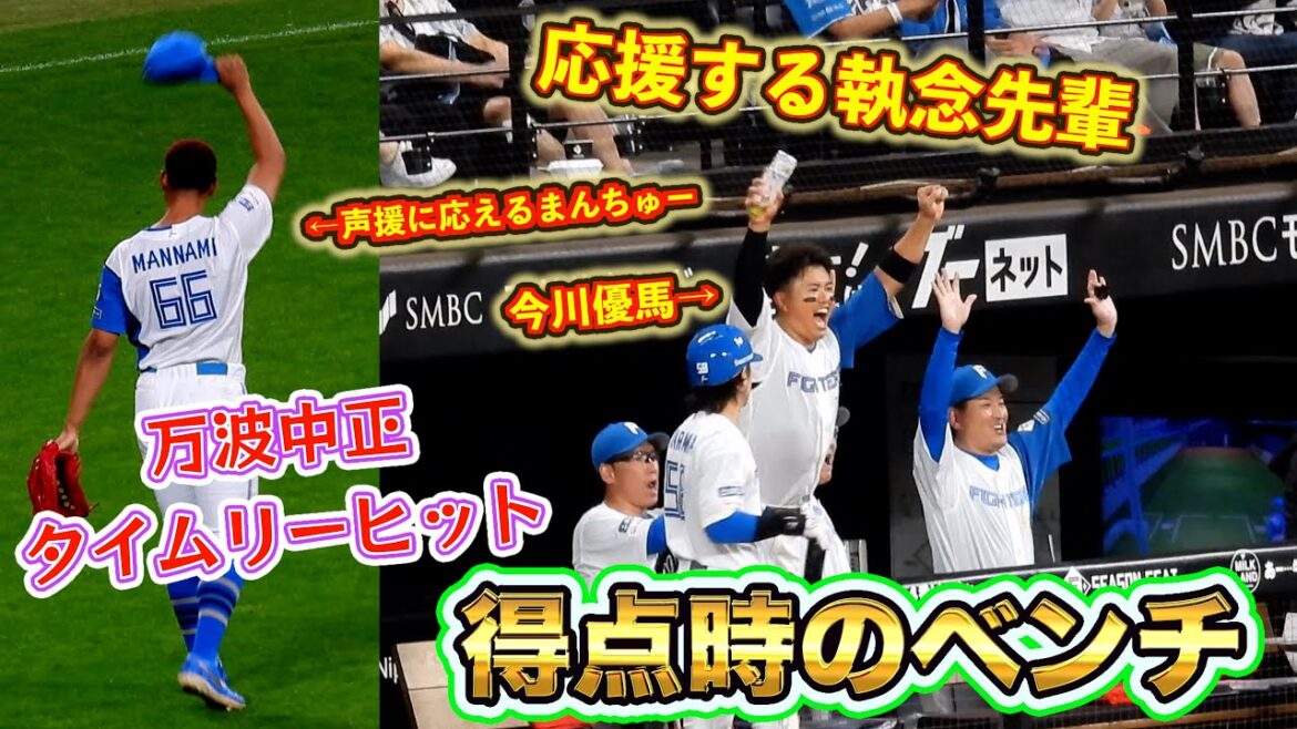 【20250911】万波中正が代打でタイムリーヒット。盛り上がるベンチと声援に応えるまんちゅー