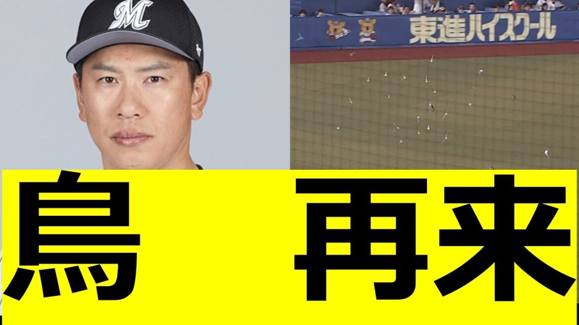 ZOZOマリン　鳥　再来wwwww　ロッテファンの反応　＃角中