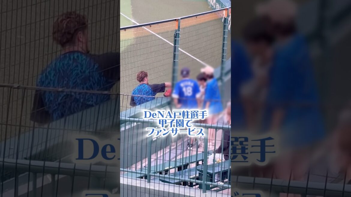 DeNA戸柱選手が甲子園でファンサービス #横浜denaベイスターズ #ベイスターズ #denaベイスターズ #baystars #戸柱恭孝 #横浜 #甲子園 #捕手 #駒澤大学 #ファンサービス
