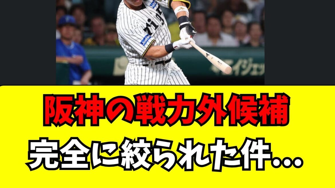 【阪神】今年の戦力外通告候補、完全に絞られた件・・・