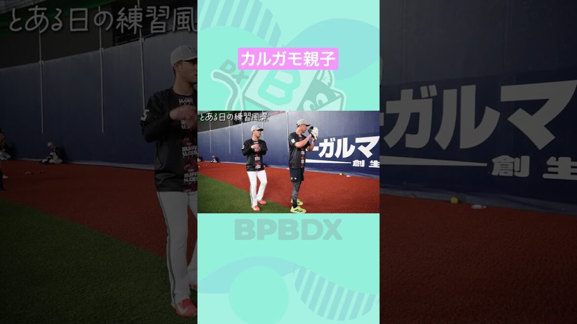 ORIX-Buffaloes: とある日の練習風景~カルガモ親子~#岩嵜翔 #才木海翔 #BPBDX #shorts とある日の練習風景~カルガモ親子~#岩嵜翔 #才木海翔 #BPBDX #shorts