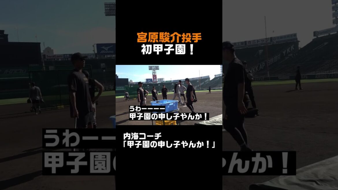 宮原駿介、初めての甲子園！ #shorts