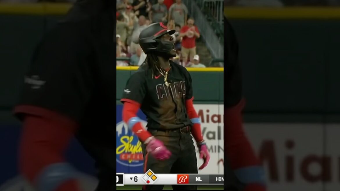 Cincinnati Reds Win 12th Straight Game in 2023