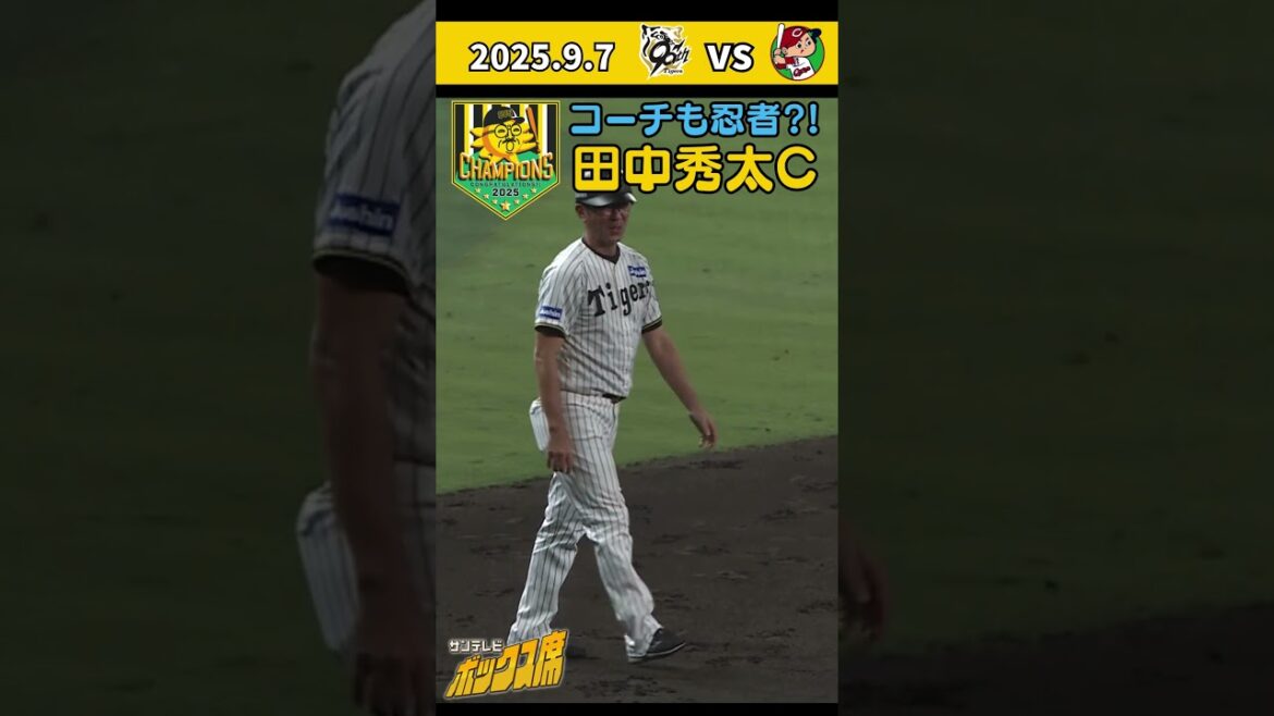 【忍者コーチ爆誕？！】熊谷選手にマケズ・・田中秀太コーチが森下選手の強烈な打球を華麗に避ける（2025年9月7日 阪神ー広島）  #サンテレビボックス席