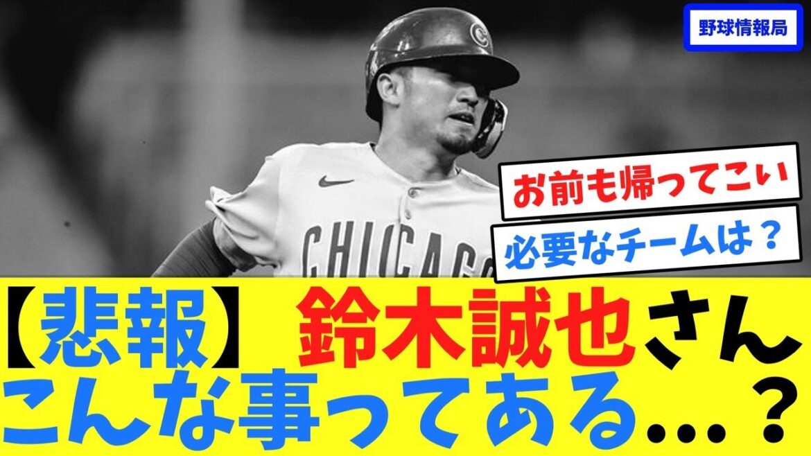 【悲報】鈴木誠也さんこんな事ってある...？【ネット情報局】