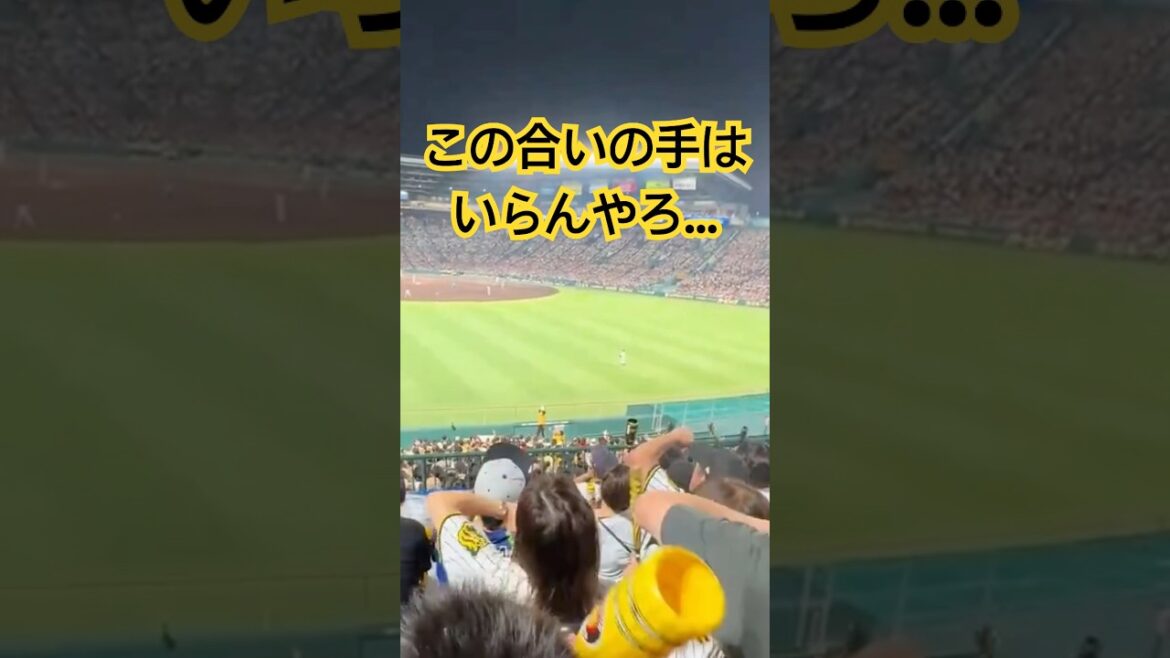 森下の応援歌に謎の合いの手要りますか？ #森下翔太 #阪神タイガース #shorts
