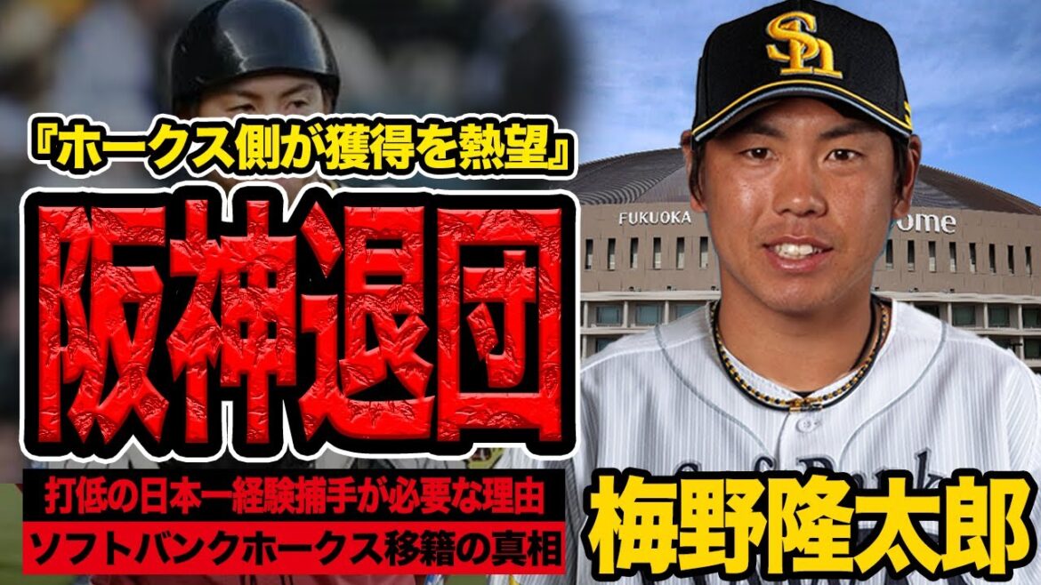梅野隆太郎が阪神退団を決断、ソフトバンクホークスが獲得熱望の真相に衝撃！打てない捕手の代表格も、逆に市場価値が爆上がりしている理由に絶句【阪神タイガース】【プロ野球】
