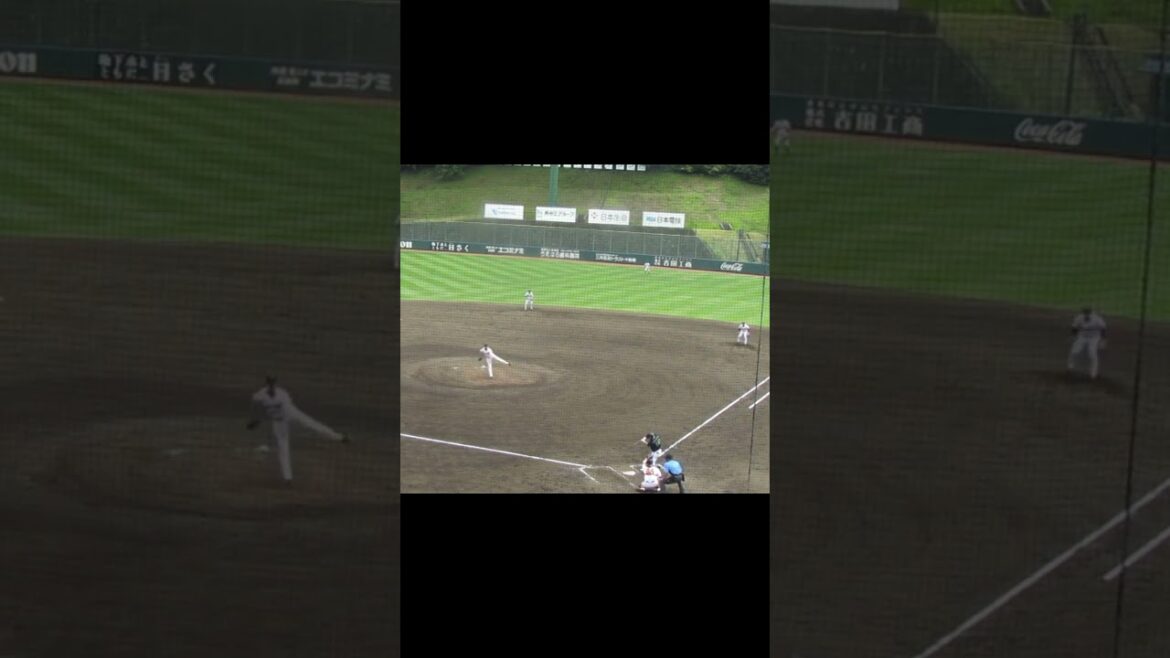 グリフィン 力強い球で宮本丈を三振2024年5月29日 読売ジャイアンツ対ヤクルトスワローズ