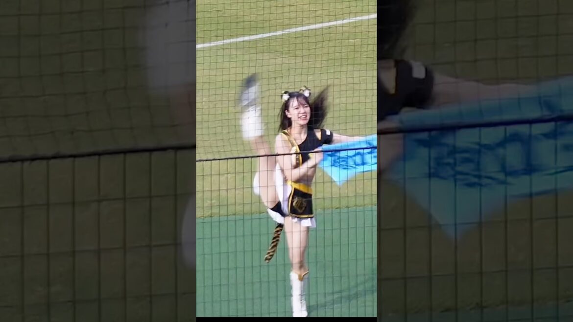 ステキな #チア #タイガースガールズ  #tigersgirls #原口文仁