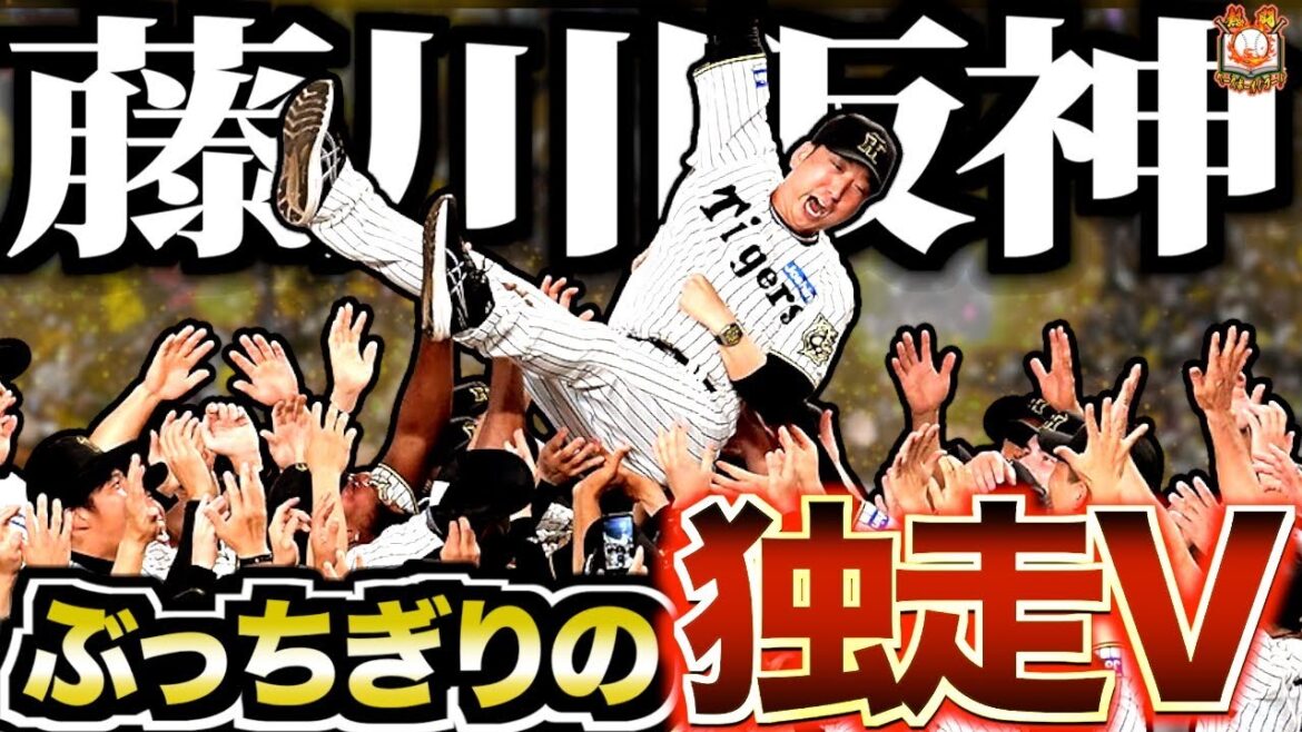 【史上最速】阪神タイガース、2年ぶりのリーグ優勝！他を寄せ付けない圧倒的強さを誇った藤川阪神の1年を振り返る