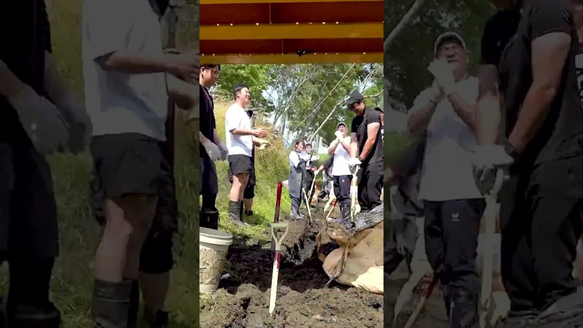 手彫りでヘドロ除去してみた