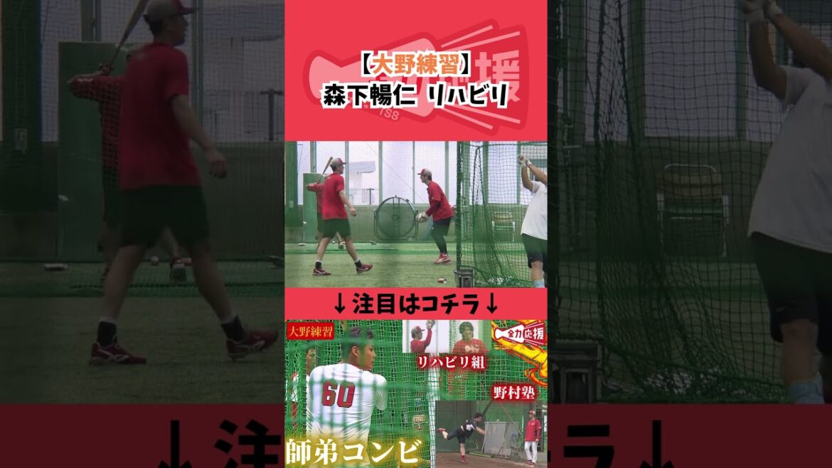 【リハビリ情報】森下暢仁🔥【球団認定】カープ全力応援チャンネル