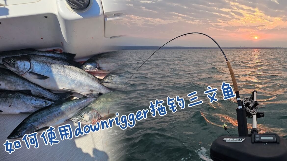 如何使用downrigger拖钓三文鱼