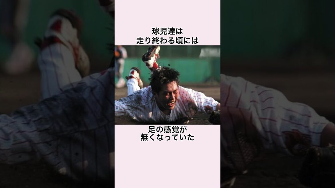 「広陵だけは絶対に入りたくなかった」新井貴浩に関する雑学 #プロ野球 #高校野球 #新井貴浩 #広島東洋カープ #阪神タイガース #金本知憲