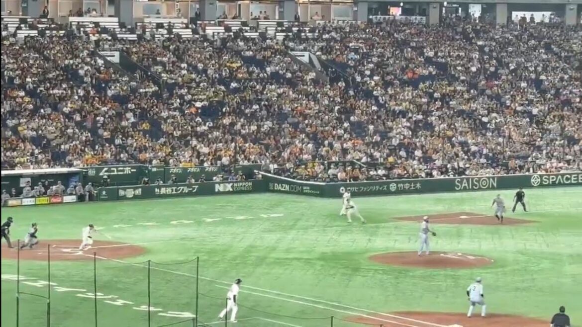 巨人 坂本勇人 逆転サヨナラタイムリー 両軍21得点の乱打戦を制す　#阪神タイガース #巨人　#sports #ジャイアンツ #プロ野球 #野球 #阪神 #坂本勇人 #読売ジャイアンツ