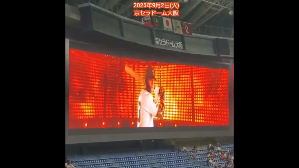 20250902　ﾄﾚｲ･ｷｬﾍﾞｯｼﾞ1番！【東京ﾌｧﾝﾌｧｰﾚ】　#shorts　読売ｼﾞｬｲｱﾝﾂ(巨人)@京ｾﾗﾄﾞｰﾑ大阪･ﾚﾌﾄ外野上段