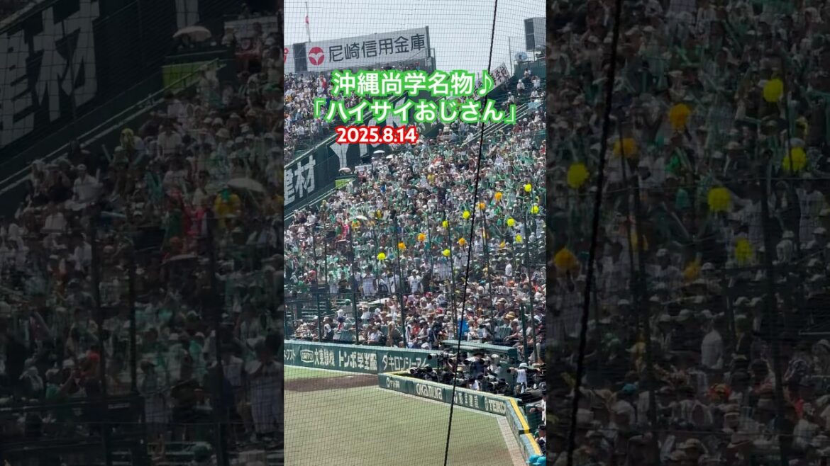 #沖縄尚学 #高校野球 #甲子園 #高校野球応援歌 #ハイサイおじさん