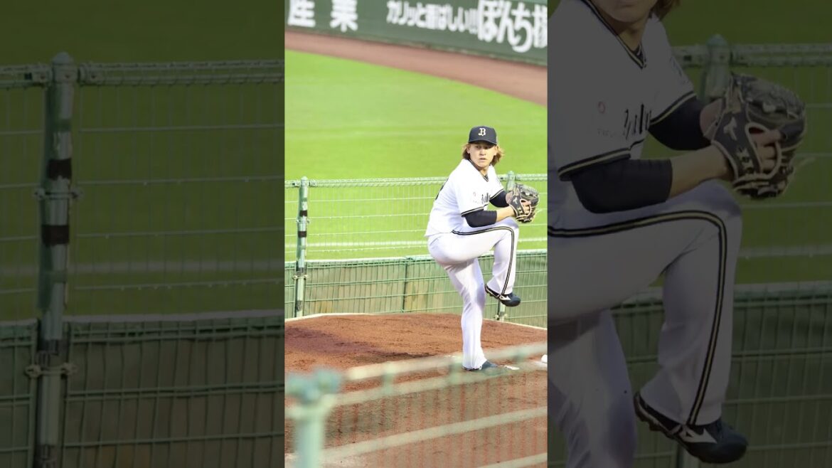 ほっともっとフィールドのブルペンシートから4K撮影 #宮城大弥 #オリックスバファローズ #shorts
